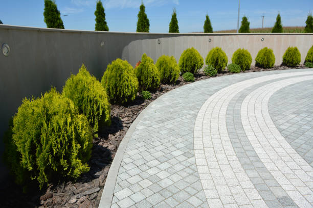 Residential Paver Driveway in Hyattsville, MD